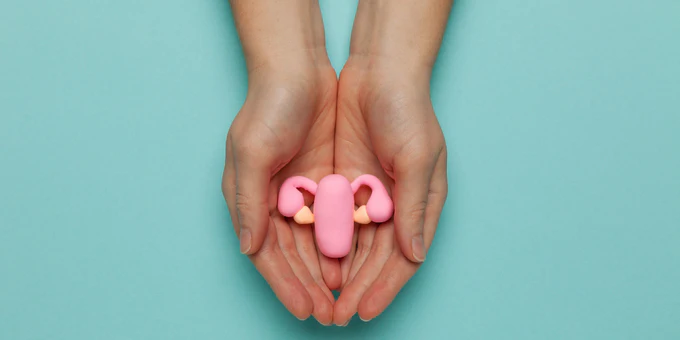 The story of the urogenital microbiome in menopause: what, why, and how.