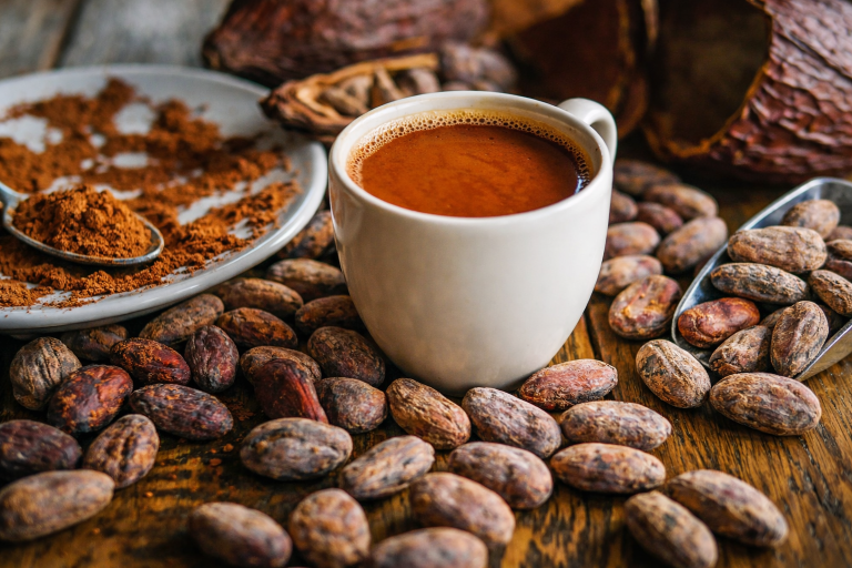 cocoa beans and the products